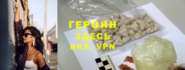 индика Ладушкин