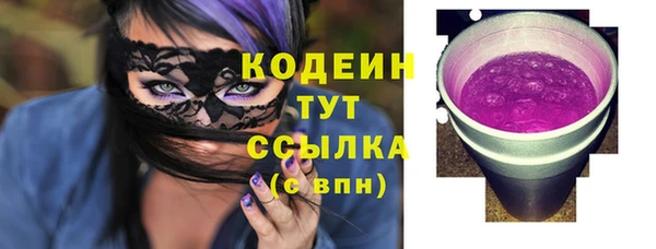 индика Ладушкин