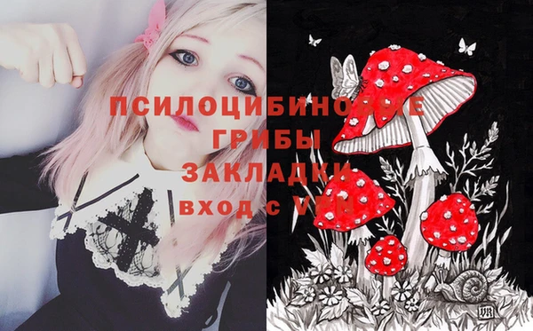 прущая мука Краснослободск