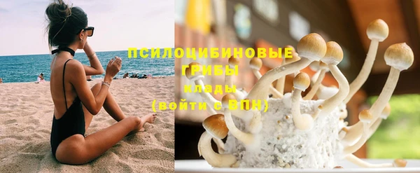 прущая мука Краснослободск