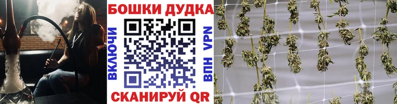 Купить закладки  Аша  Бошки марихуана семена 